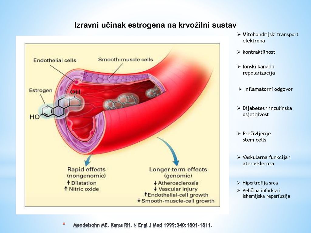 estrogen i hipertenzija